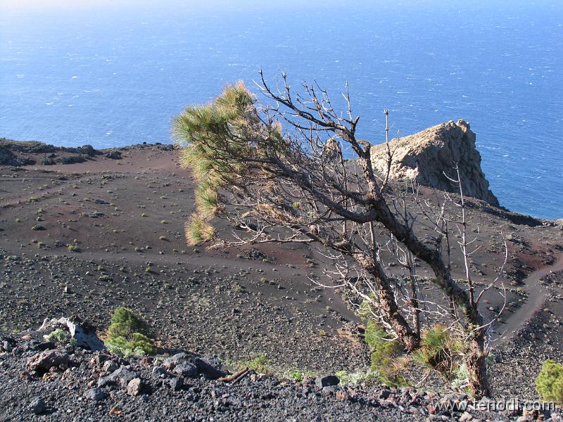 LaPalma (023).JPG